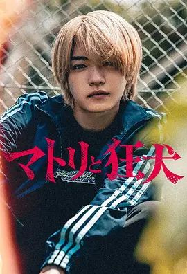 缉毒警与疯犬电视剧